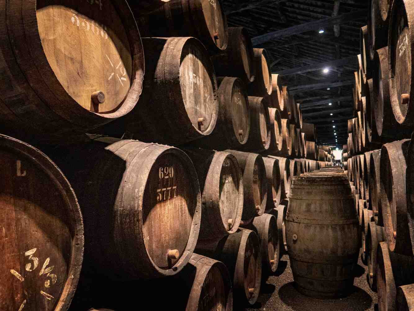 Comment le vin est-il conservé dans une cave à vin?