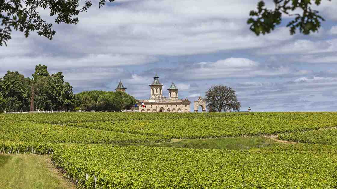 Quel est le plus petit vignoble de France?