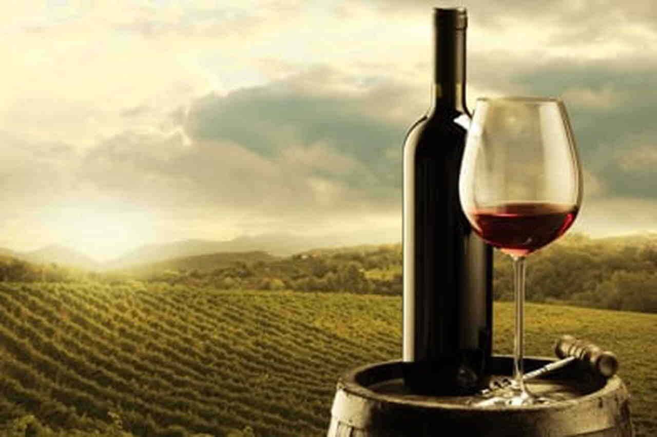 Quel est le vin le plus cher du monde?