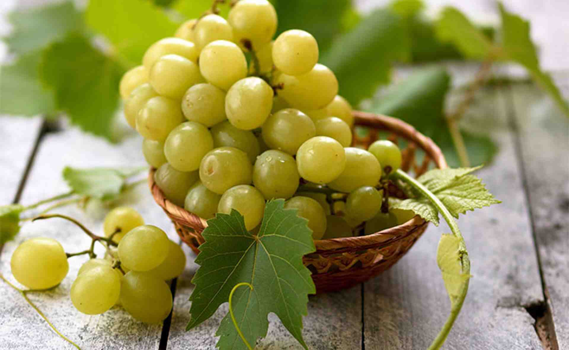 Comment faire du vin à partir du raisin ?