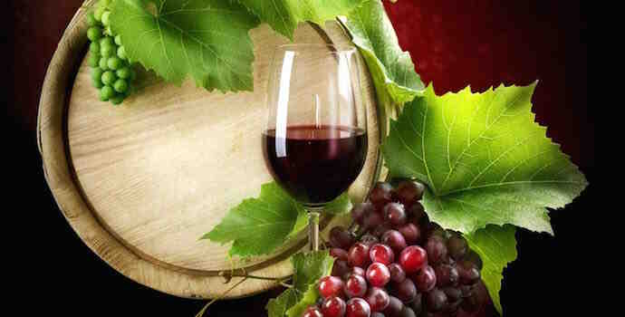 Quelle raisin pour le vin ?